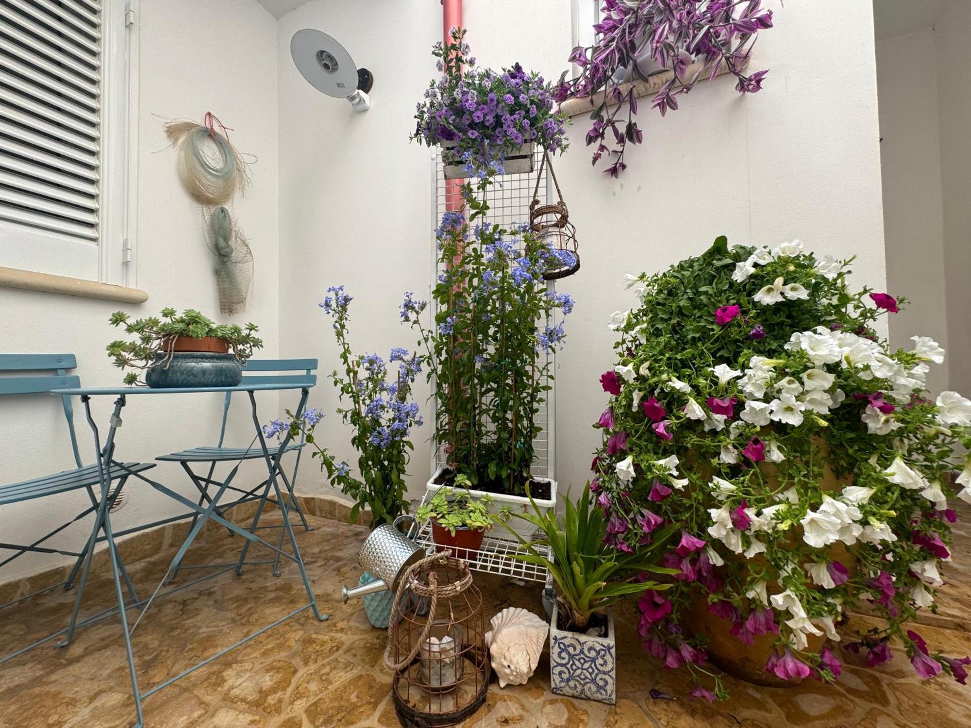 B&B Vie Del Mediterraneo Porto Cesareo Eksteriør bilde